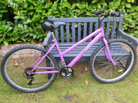 raleigh elia ladies mountain bike